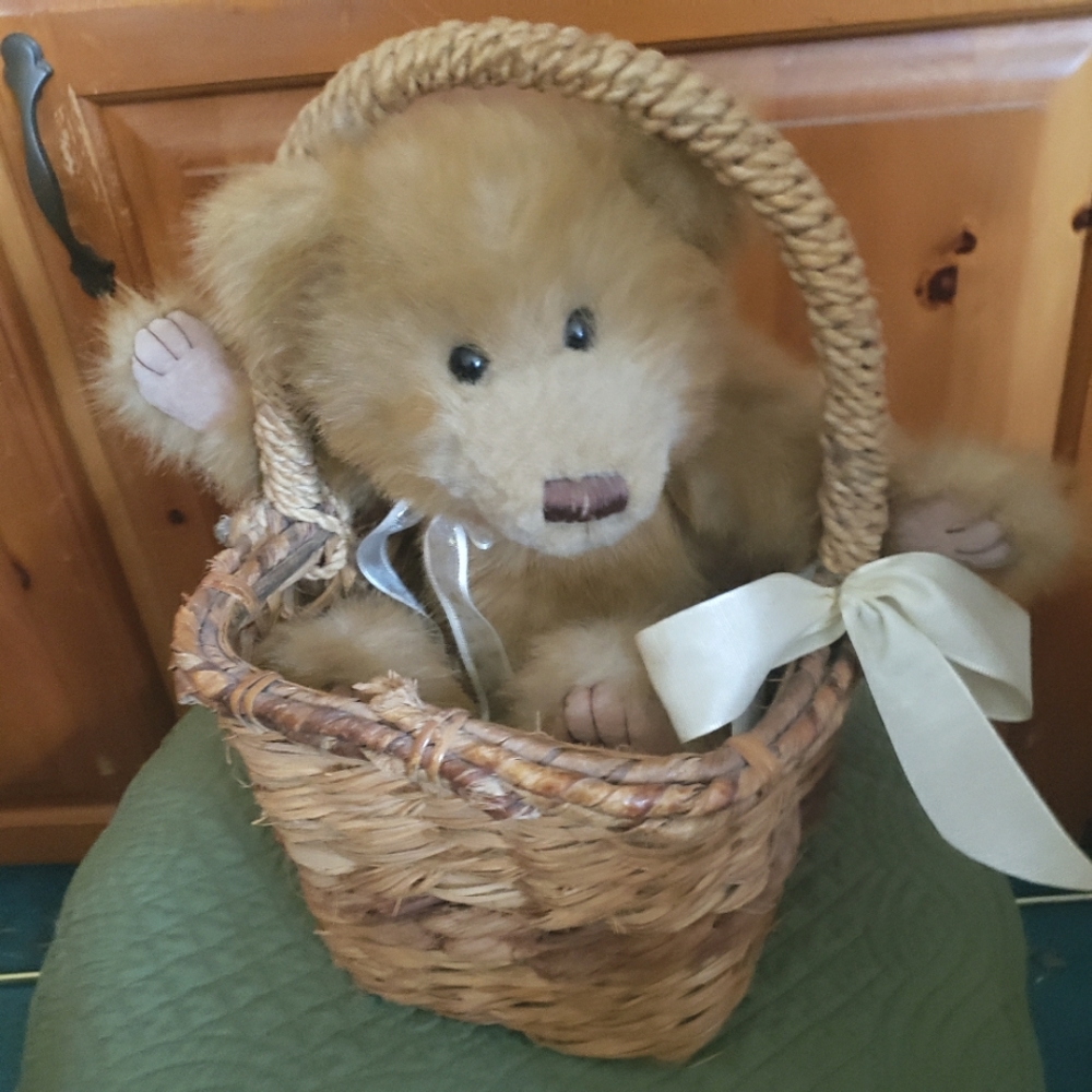 Teddy in Basket Kids of America